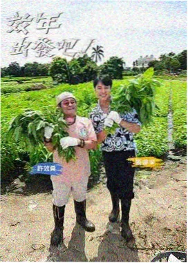 户外挑战综艺